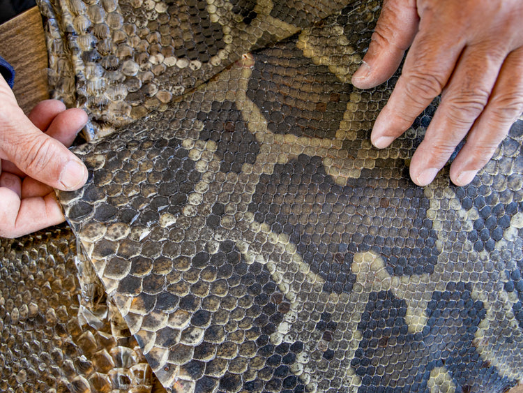 セミオーダー三線